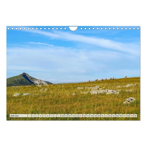 Bild von ALPEN BLICK (Wandkalender 2025 DIN A4 quer) von CALVENDO
