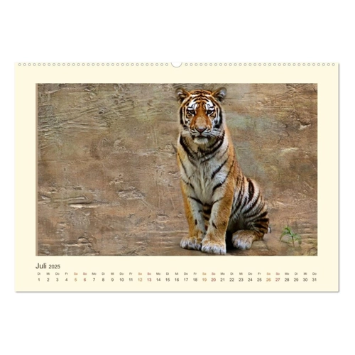 Bild von Sibirische Tigerportraits (Wandkalender 2025 DIN A4 quer)