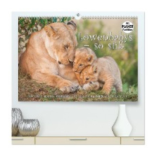 Bild von Emotionale Momente: Löwenbabys - so süß. Premium Wandkalender 2025