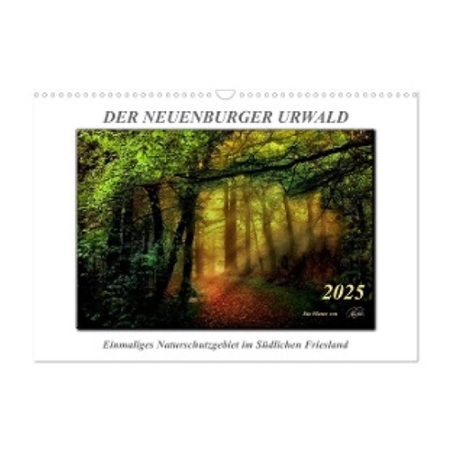Bild von Der Neuenburger Urwald (Wandkalender 2025 DIN A3 quer) - CALVENDO Monatskalender