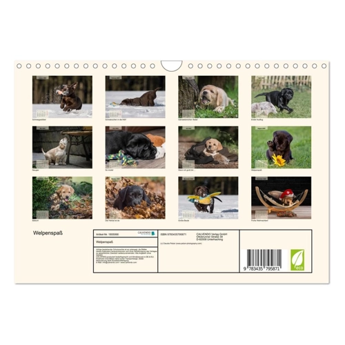 Bild von Welpenspaß - Hochwertiger Premium Wandkalender 2025 DIN A2 quer