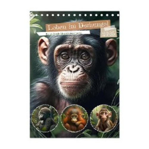 Bild von Leben im Dschungel. Entzückende Affen im Regenwald (Tischkalender 2025 DIN A5 hoch)