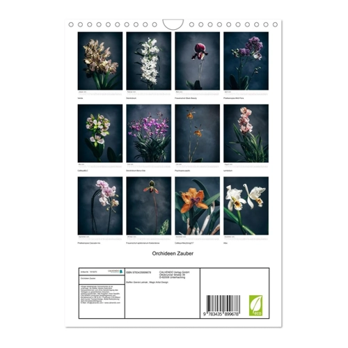 Bild von Orchideen Zauber - Hochwertiger Premium Wandkalender 2025