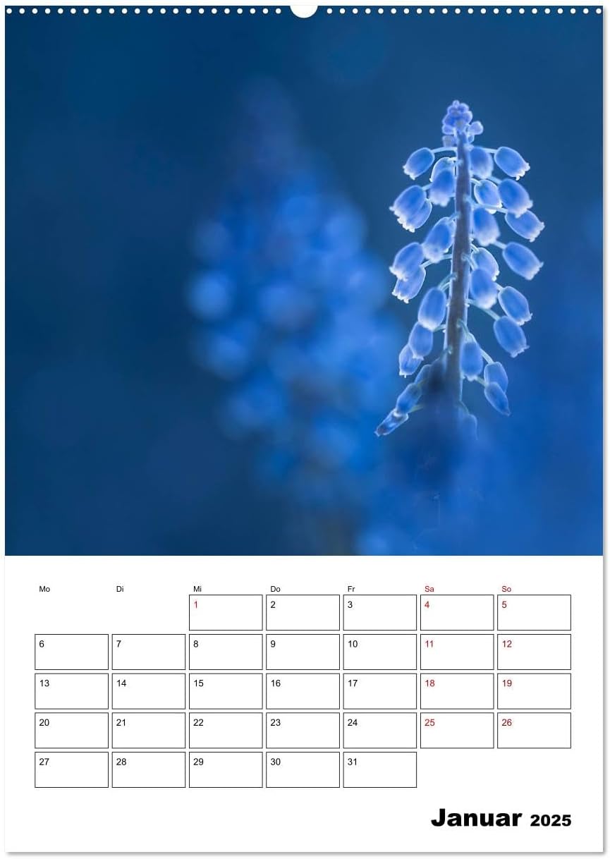 Bild von Adam, Ulrike: Blütentraum in Blau (hochwertiger Premium Wandkalender 2025 DIN A2 hoch), Kunstdruck in Hochglanz