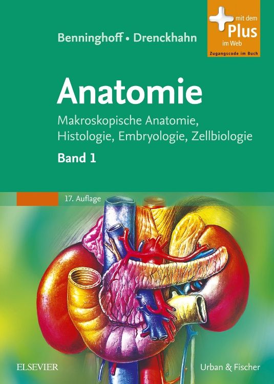 Bild von Benninghoff, Drenckhahn, Anatomie