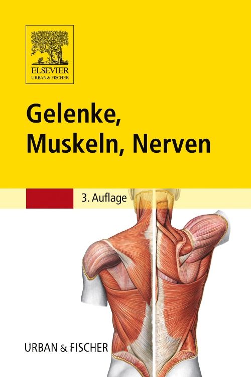 Bild von Gelenke, Muskeln, Nerven, Fachbücher von Susanne Reimann, Kerstin Otto, Reinhard Eggers
