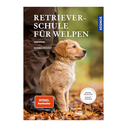Bild von Retrieverschule für Welpen: Grunderziehung, Dummy-Training