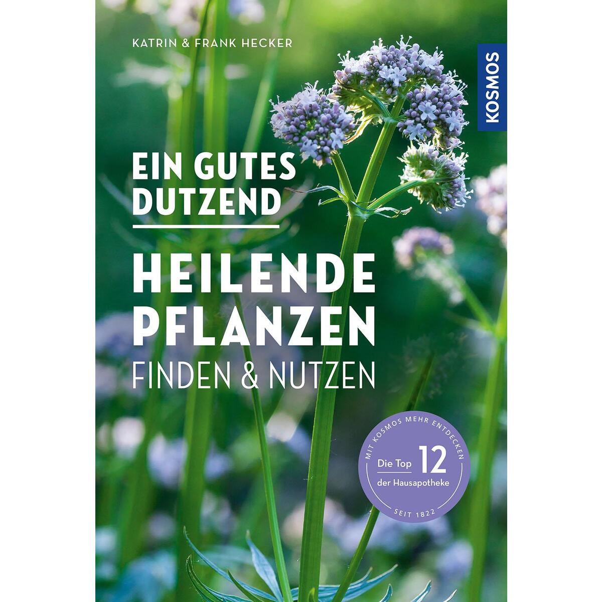 Bild von Ein gutes Dutzend heilende Pflanzen