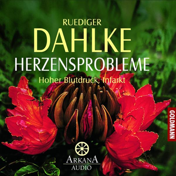 Bild von Herzensprobleme. Hoher Blutdruck, Infarkt