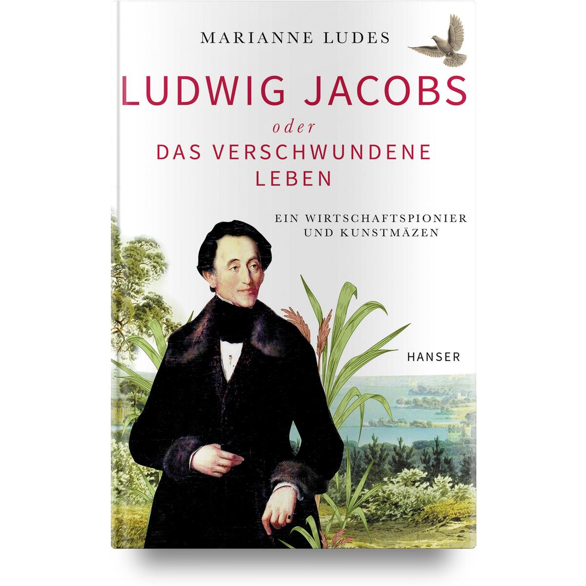 Bild von Ludwig Jacobs oder das verschwundene Leben, Belletristik von Marianne Ludes