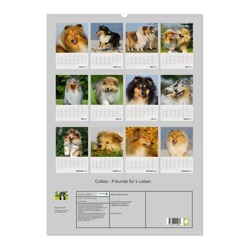 Bild von Collies - Freunde für's Leben (Wandkalender 2025 DIN A3 hoch)