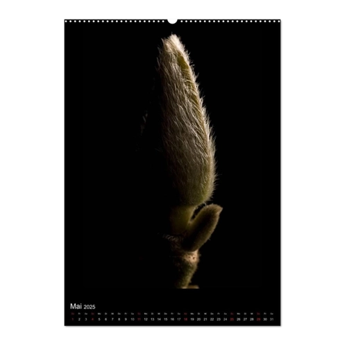 Bild von Poesie der Pflanzen (Wandkalender 2025 DIN A4 hoch)