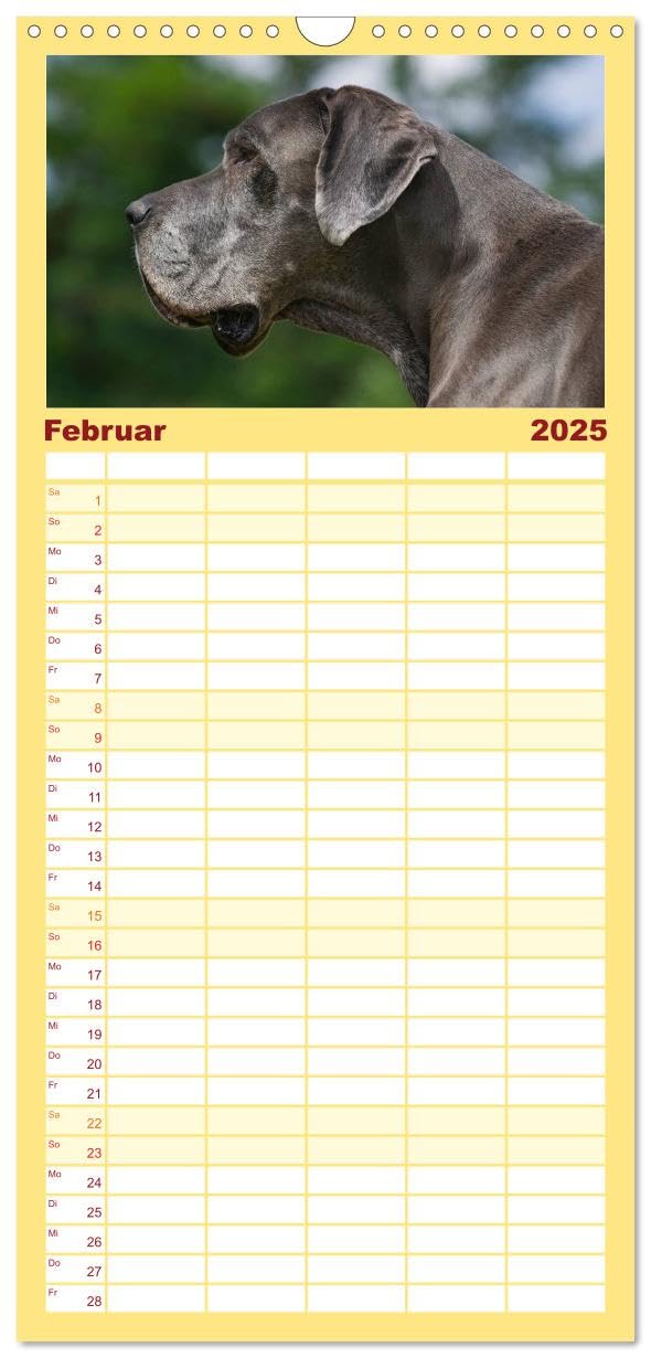Bild von Starick, Sigrid: Familienplaner 2025 - Deutsche Dogge mit 5 Spalten (Wandkalender, 21 x 45 cm) CALVENDO