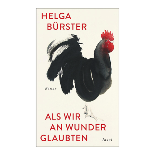 Bild von Als wir an Wunder glaubten – Ein tiefgründiger Roman aus der Nachkriegszeit