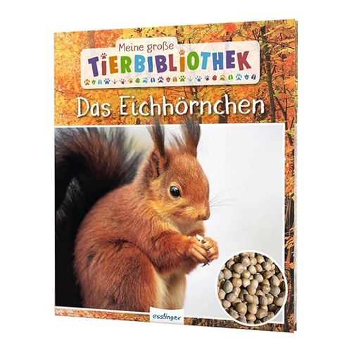 Bild von Das Eichhörnchen