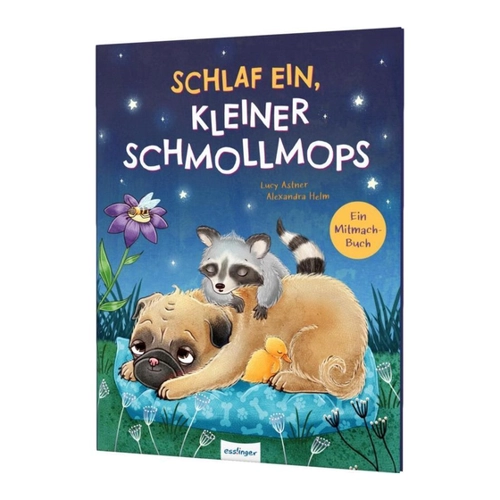 Bild von Schlaf ein, kleiner Schmollmops