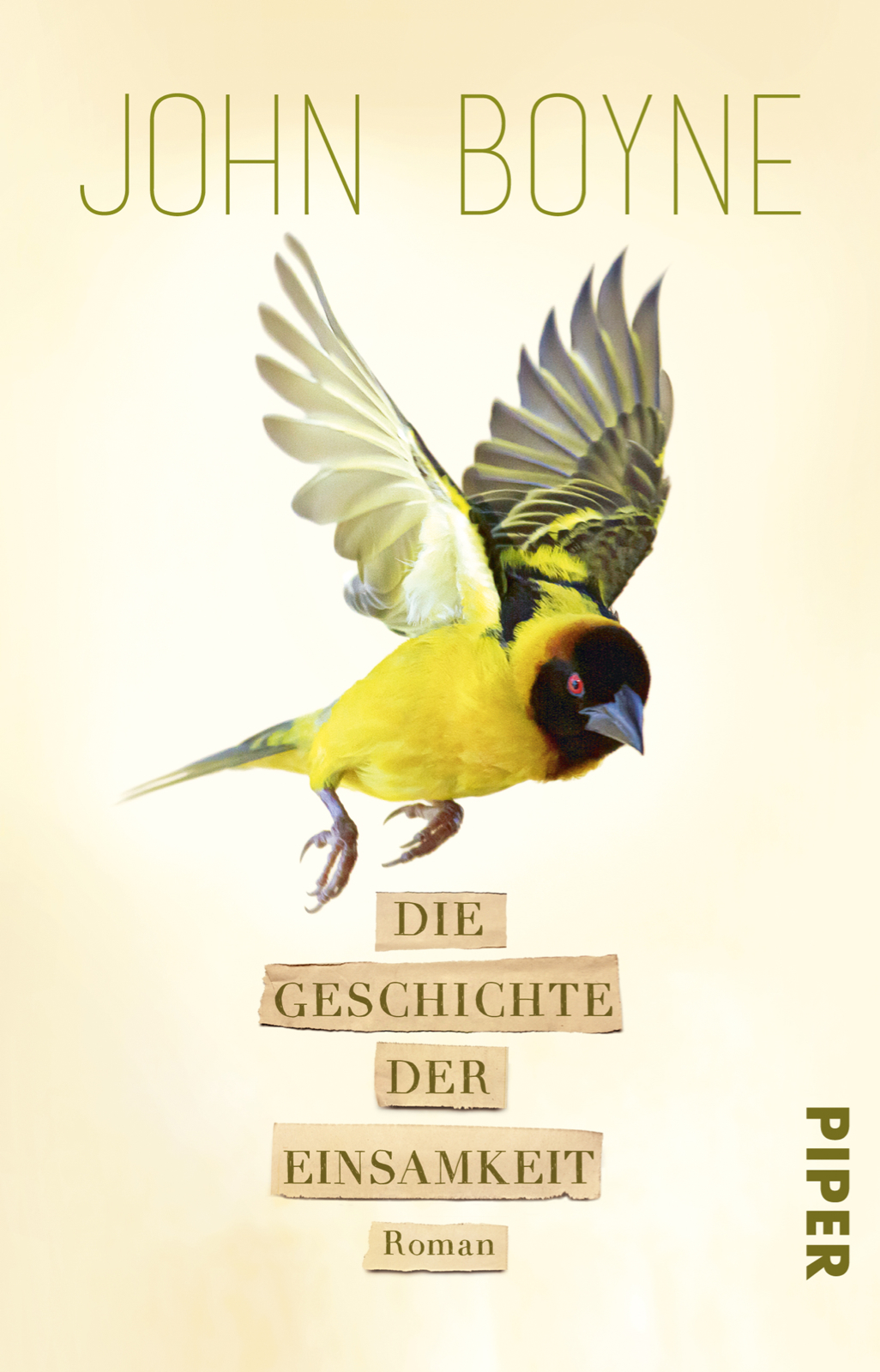 Bild von Boyne, John: Die Geschichte der Einsamkeit