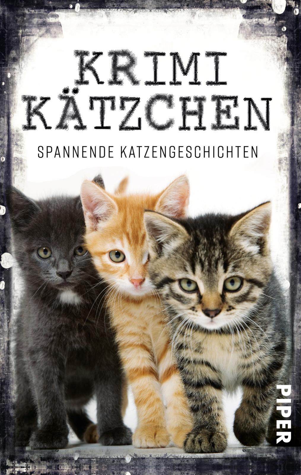 Bild von Krimikätzchen: Spannende Katzengeschichten