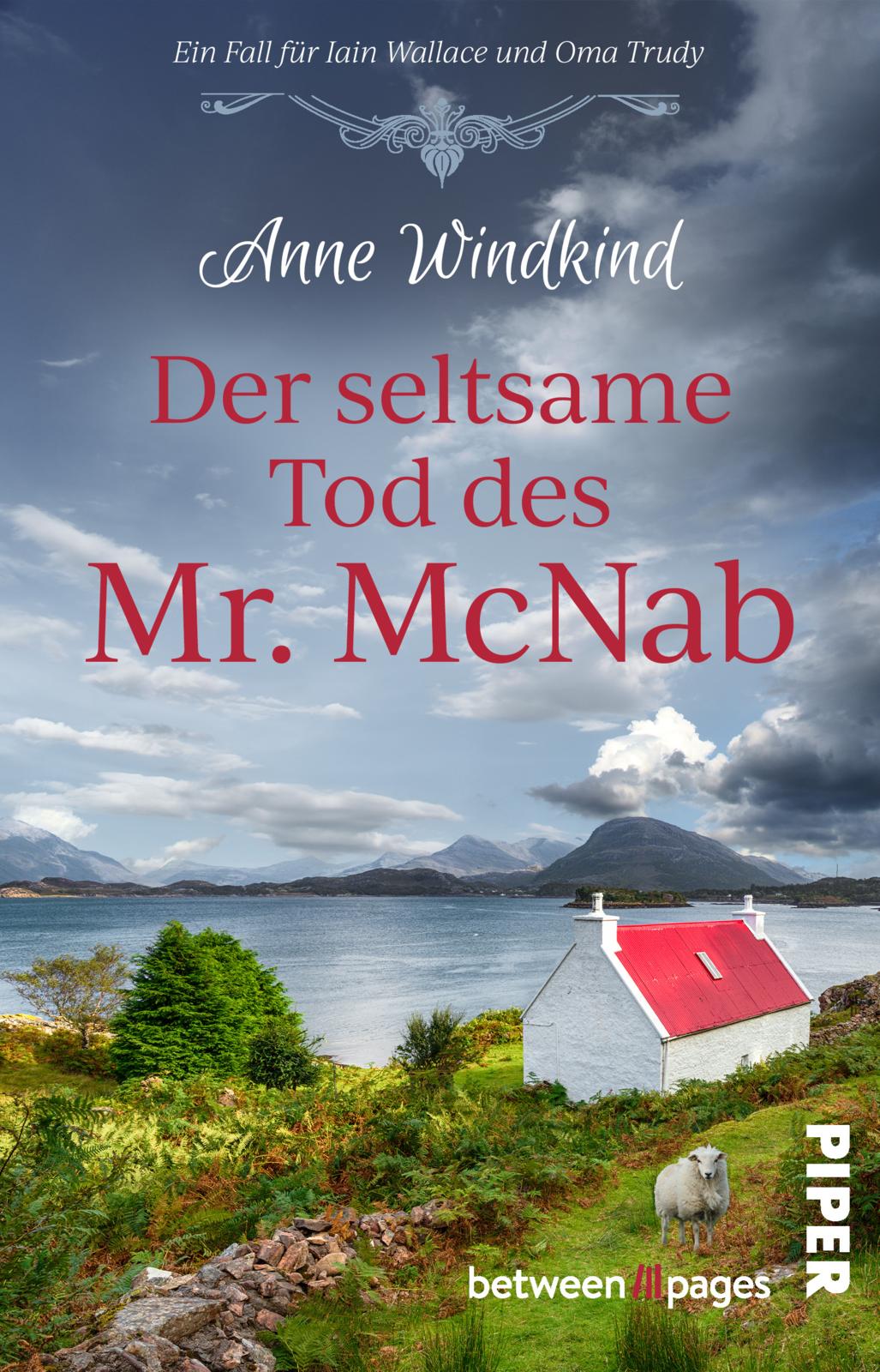 Bild von Der seltsame Tod des Mr. McNab
