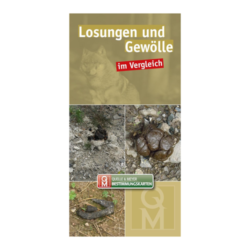 Bild von Losungen und Gewölle: im Vergleich