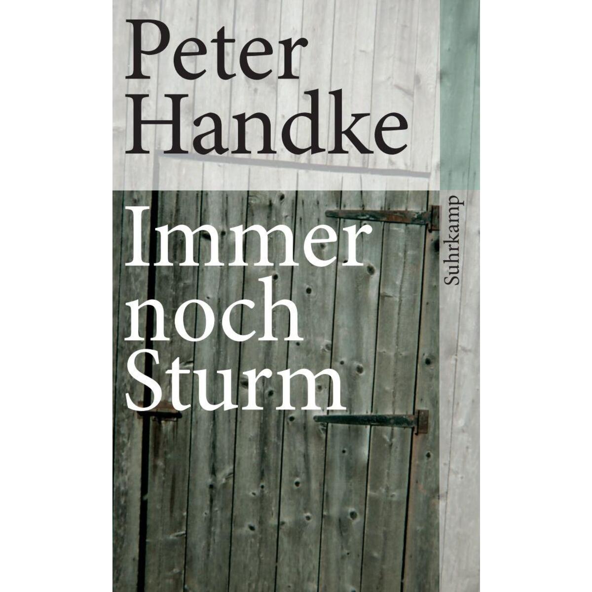 Bild von Immer noch Sturm, Belletristik von Peter Handke