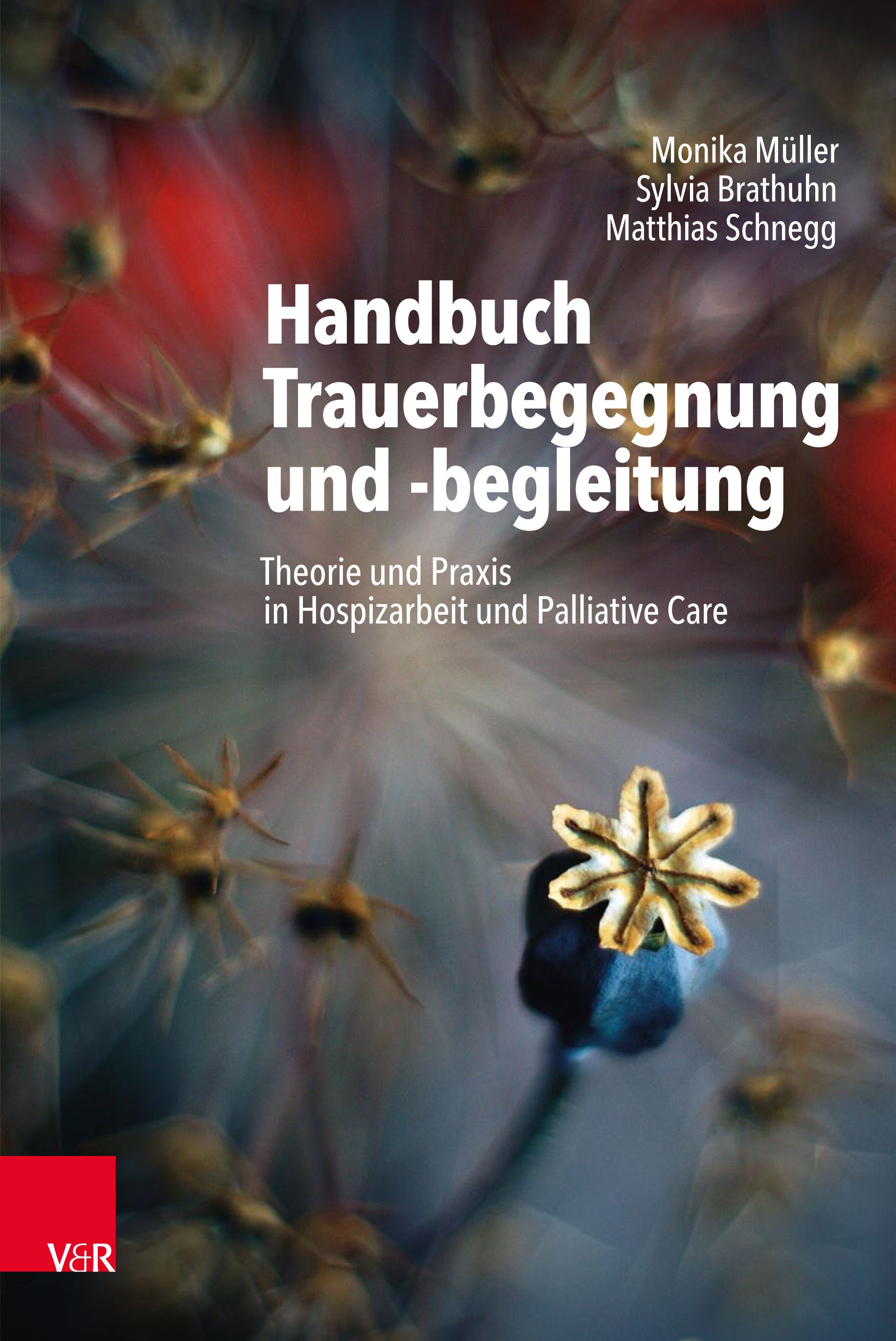 Bild von Handbuch Trauerbegegnung und -begleitung, Fachbücher von Matthias Schnegg, Monika Müller, Sylvia Brathuhn, Thorsten Adelt, Sabine Zwierlein-Rockenfeller