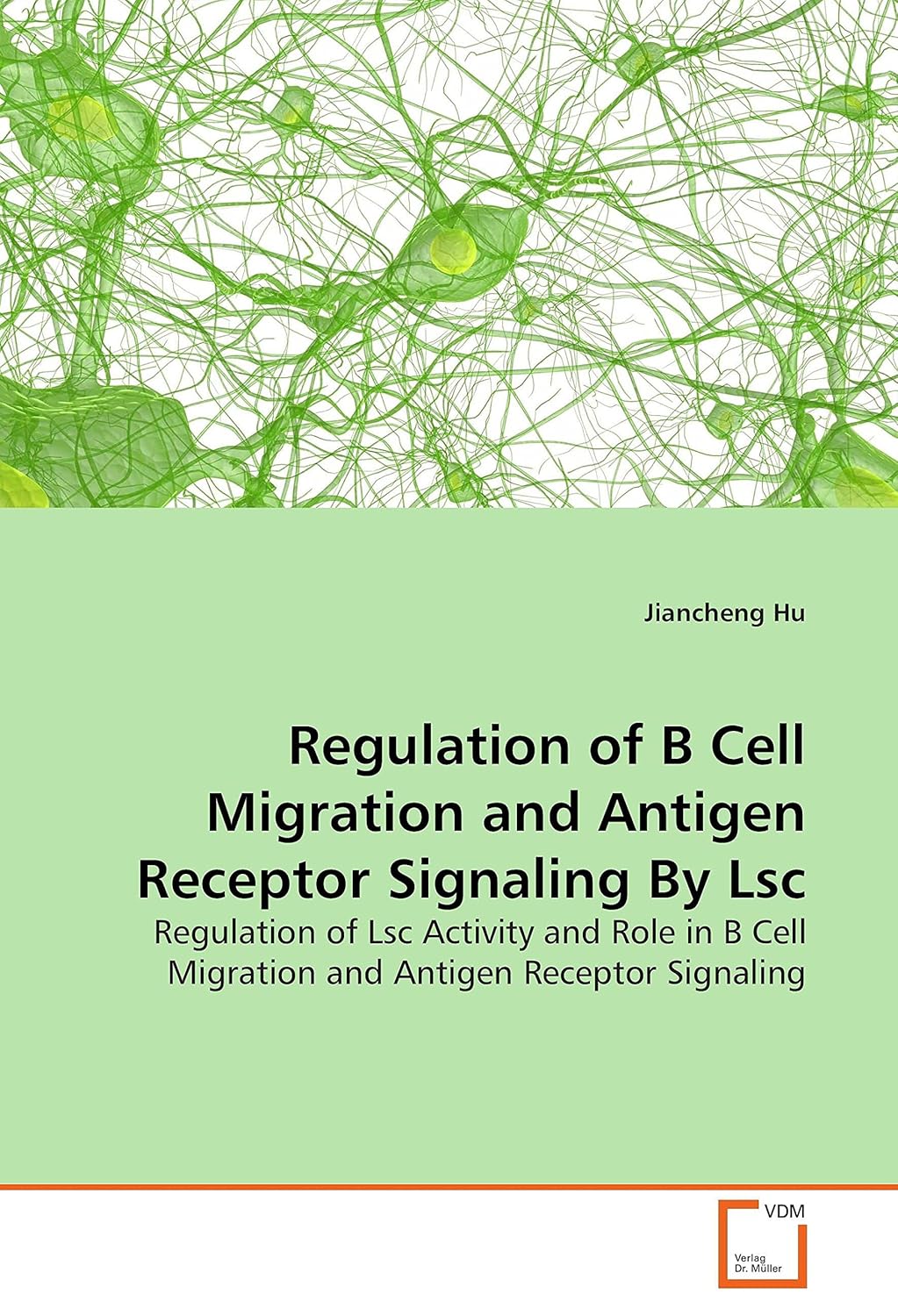 Bild von Regulation of B Cell Migration and Antigen Receptor Signaling By Lsc: Regulation of Lsc Activity and Role in B Cell Migration and Antigen Receptor Signaling