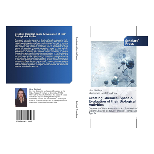 Bild von Creating Chemical Space & Evaluation of their Biological Activities