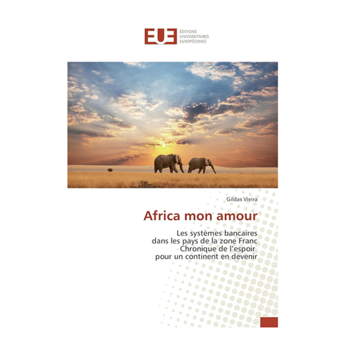 Bild von Africa mon amour: Les systèmes bancaires dans les pays de la zone Franc