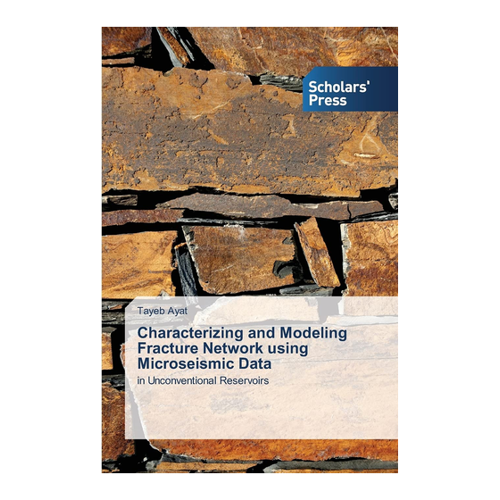 Bild von Characterizing and Modeling Fracture Network using Microseismic Data von Dr. Tayeb Ayat