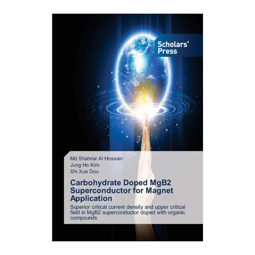 Bild von Carbohydrate Doped MgB2 Superconductor für Magnetanwendungen