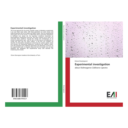 Bild von Experimental investigation: about Kolmogorov-Zakharov spectra von Ettore Stramignoni