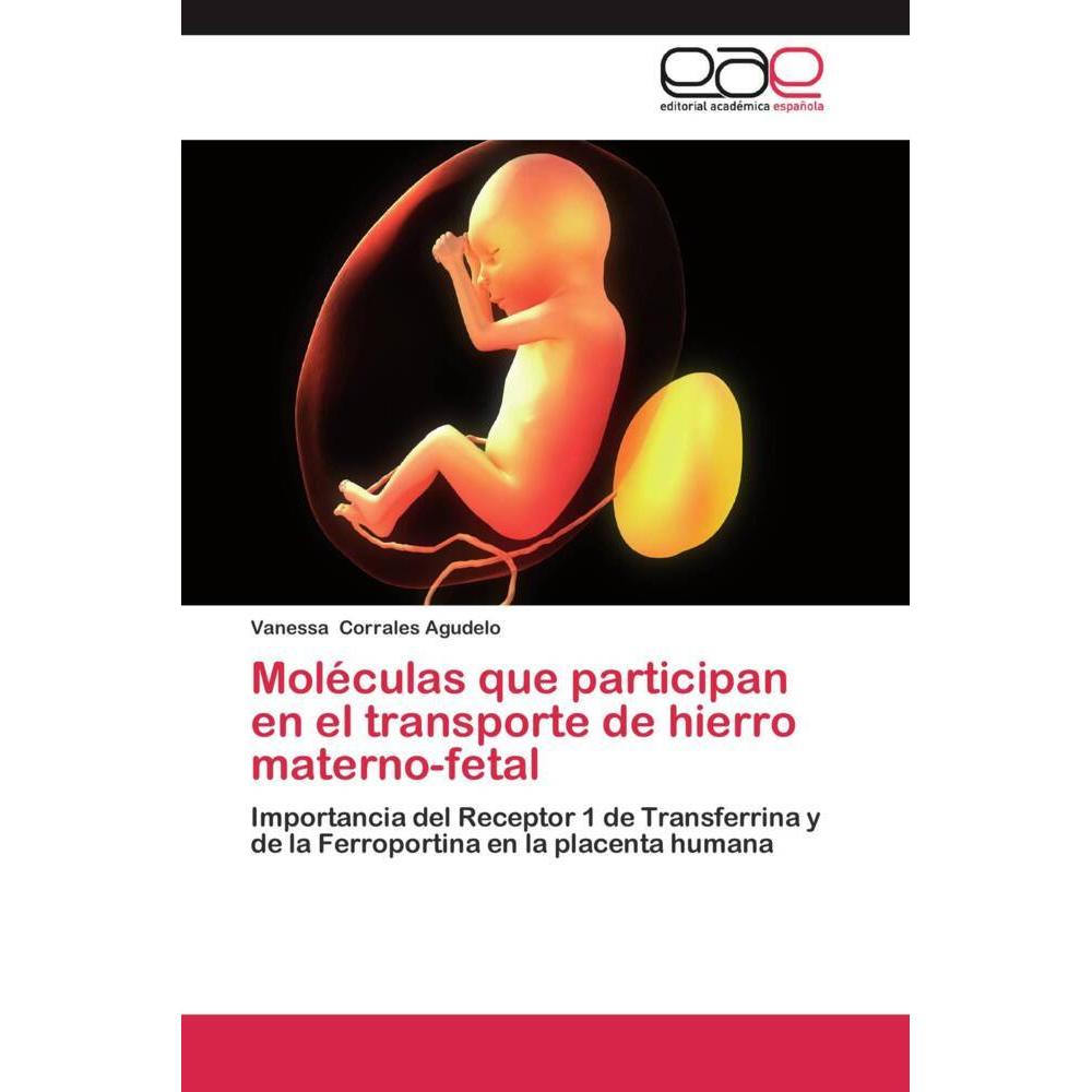 Bild von Corrales Agudelo, Vanessa: Moléculas que participan en el transporte de hierro materno-fetal