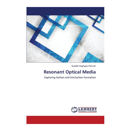 Bild von Resonant Optical Media: Exploring Soliton and Similariton Formation