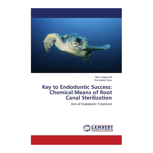 Bild von Key to Endodontic Success: Chemical Means of Root Canal Sterilization