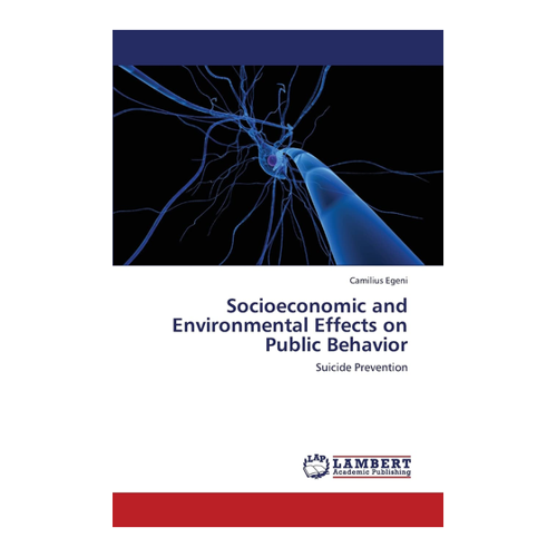 Bild von Socioeconomic and Environmental Effects on Public Behavior
