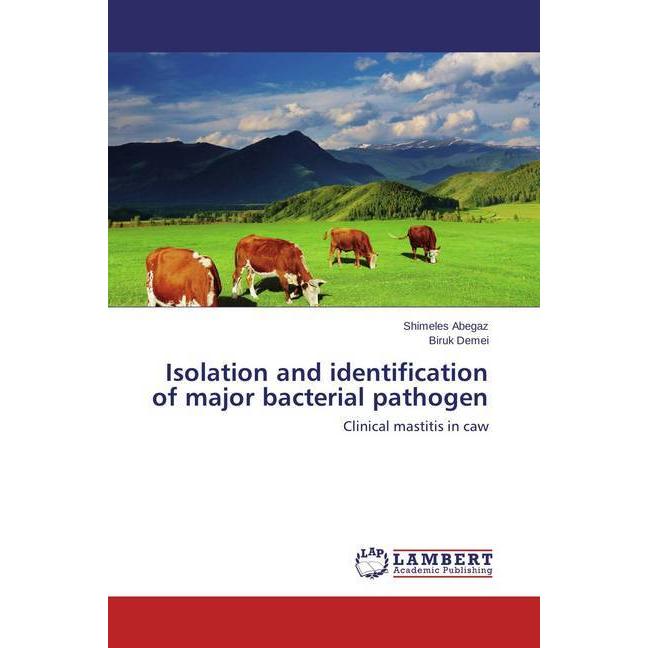 Bild von Abegaz, Shimeles: Isolation and identification of major bacterial pathogen