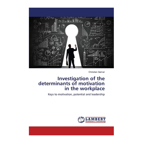 Bild von Investigation of the determinants of motivation in the workplace