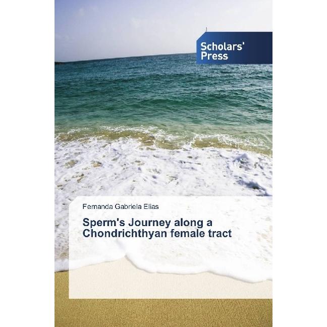 Bild von Sperm's Journey along a Chondrichthyan female tract, Fachbücher von Fernanda Gabriela Elias