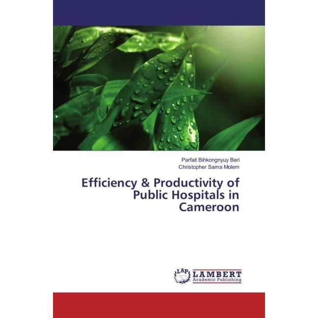 Bild von Efficiency & Productivity of Public Hospitals in Cameroon, Fachbücher von Parfait Bihkongnyuy Beri, Christopher Sama Molem
