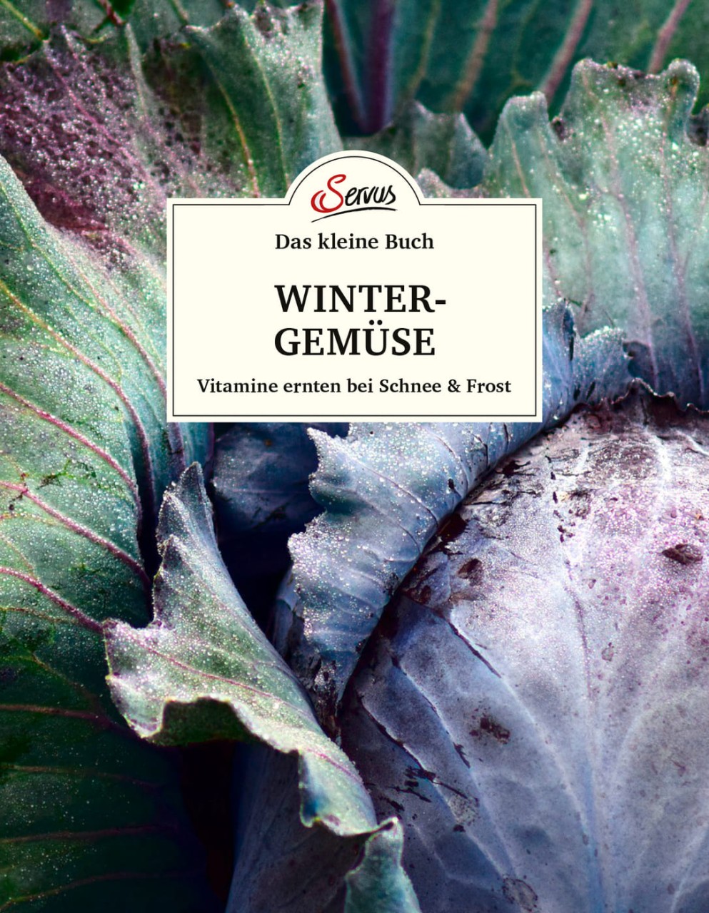 Bild von Das kleine Buch: Wintergemüse, Sachbücher von Elke Papouschek