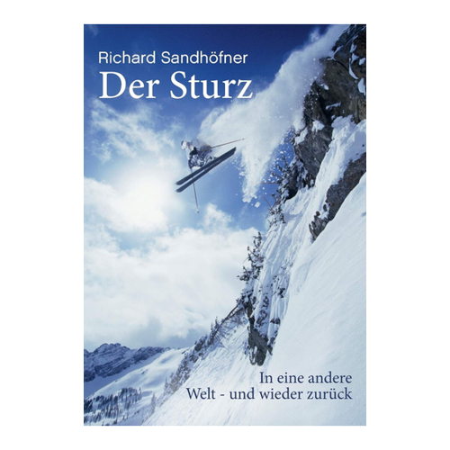 Bild von Der Sturz von Richard Sandhöfner – Ein fesselndes Leseerlebnis