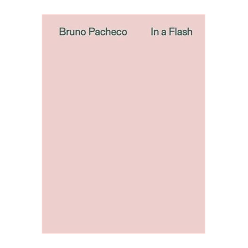 Bild von Bruno Pacheco. In a Flash - Eine umfassende Betrachtung