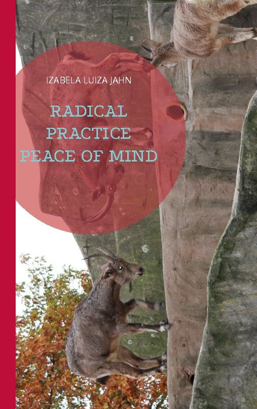 Bild von Jahn, Izabela Luiza: Radical Practice Peace of Mind