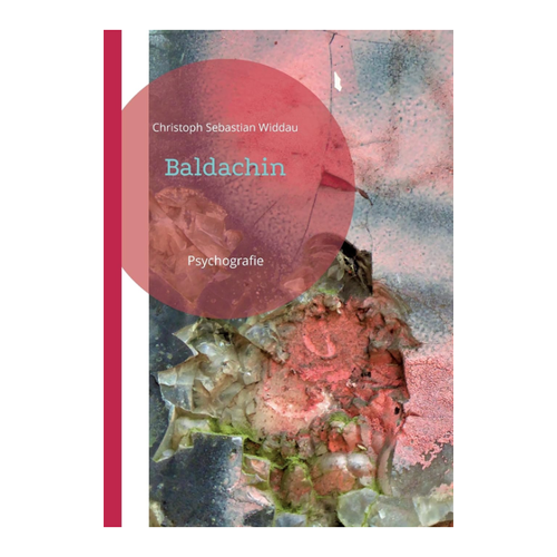 Bild von Baldachin: Psychografie von Christoph Sebastian Widdau