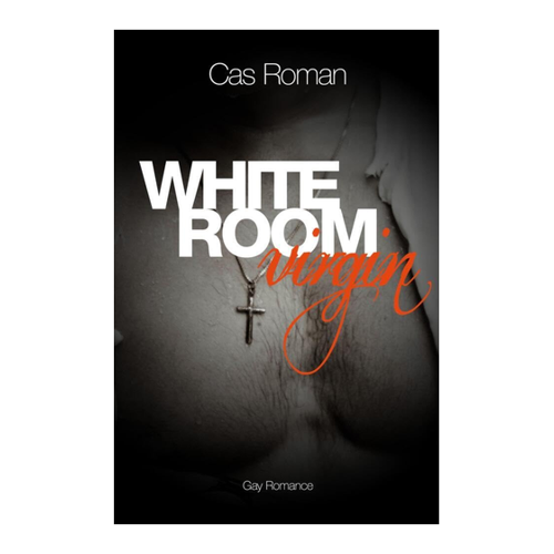 Bild von White Room Virgin - Ein fesselnder Gay Romance Roman