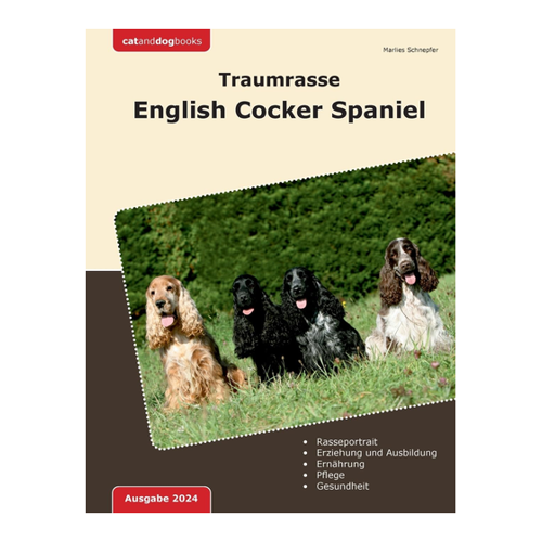 Bild von Traumrasse: English Cocker Spaniel – Ein umfassender Leitfaden