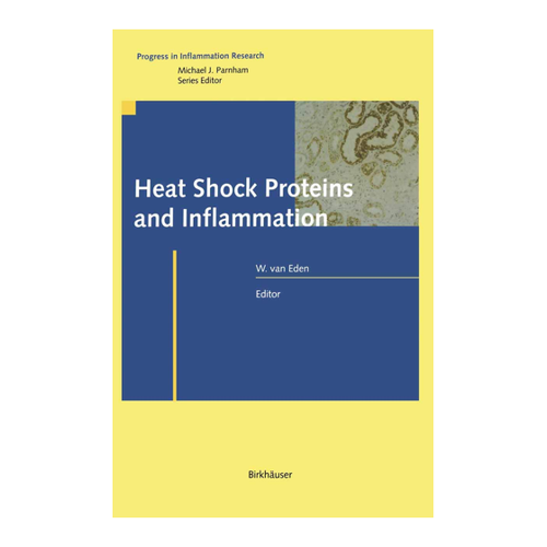 Bild von Heat Shock Proteins and Inflammation – Ein umfassender Einblick