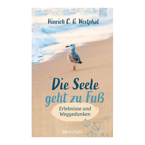 Bild von Die Seele geht zu Fuß: Erlebnisse und Weggedanken