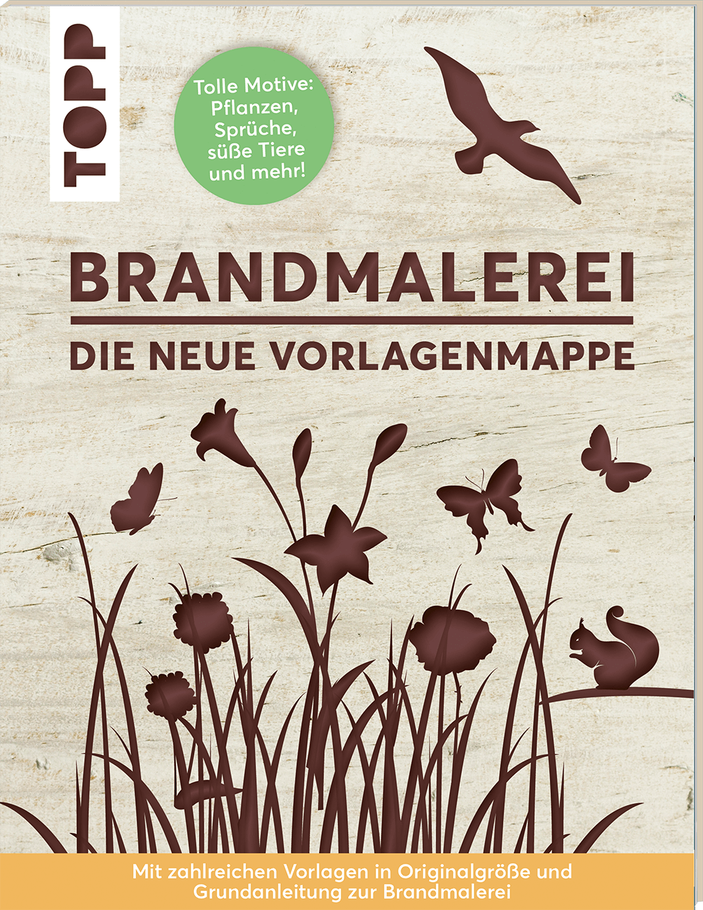 Bild von Brandmalerei, Ratgeber von Alice Herzog